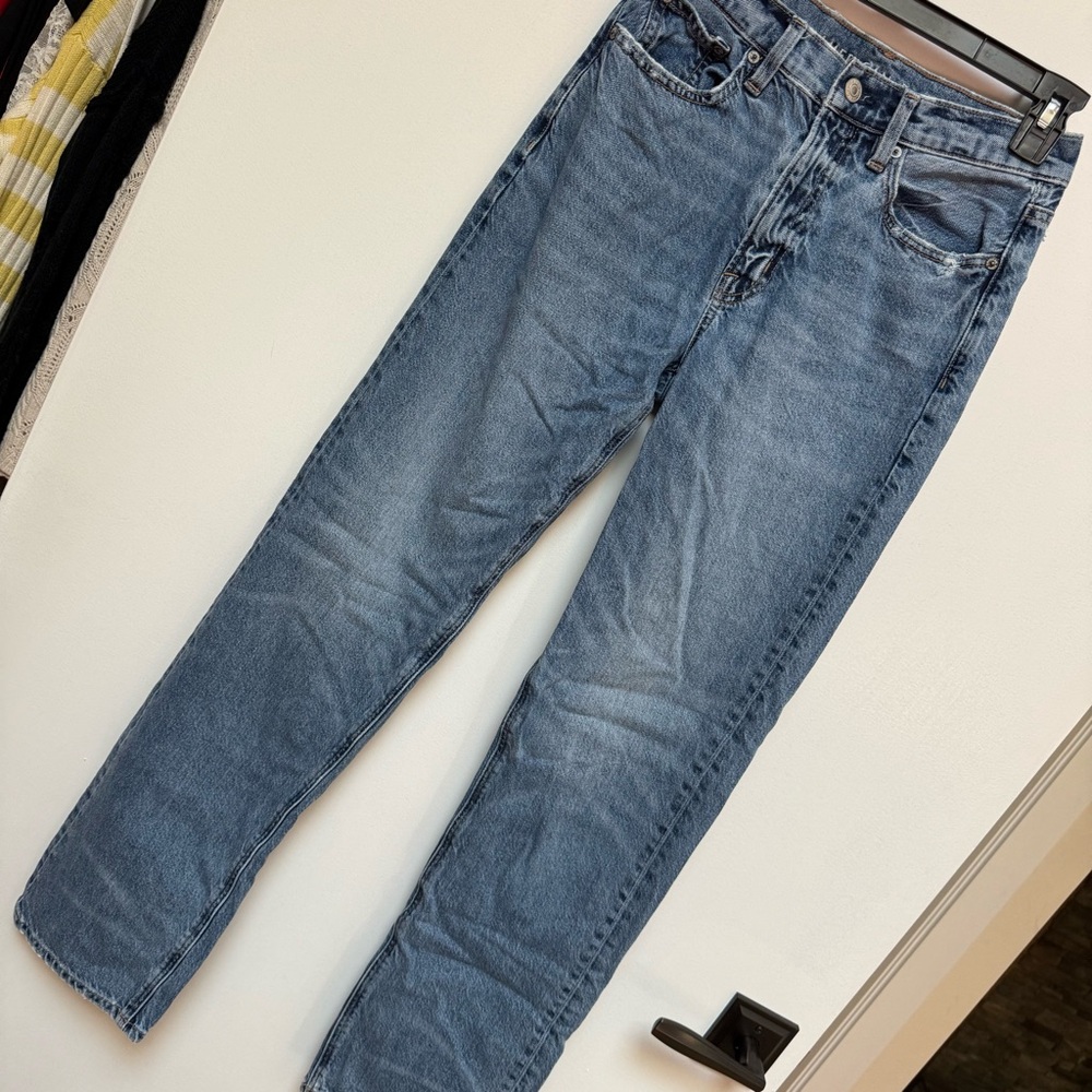 American Eagle Low Rise Baggy Jean